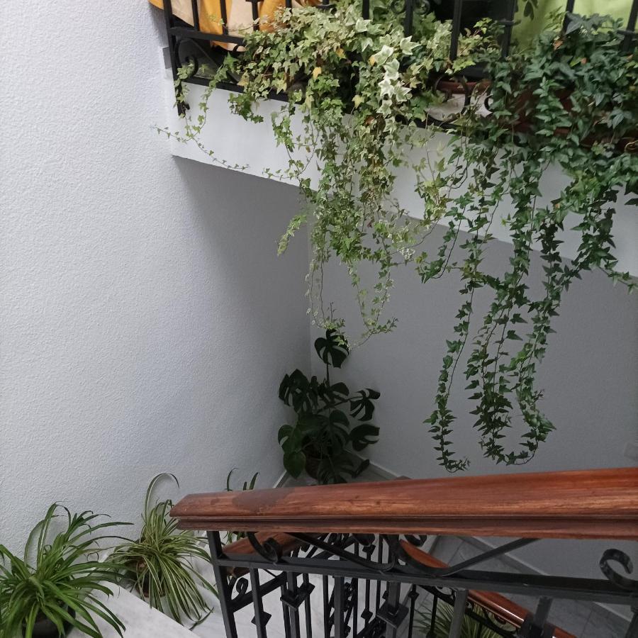 Medina Baguh Apartment Priego De Cordoba Exterior photo